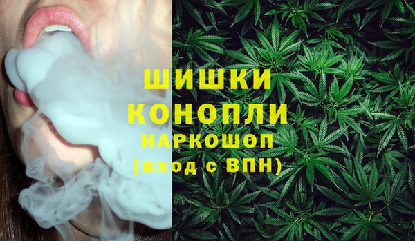ПСИЛОЦИБИНОВЫЕ ГРИБЫ Балахна